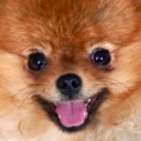 :0_TeddySmile: