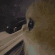 sideeye_cat