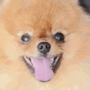 :0_TeddyWtf:
