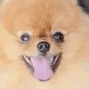 0_TeddyWtf
