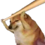 :anshi_maaregi_buddy: