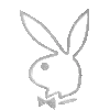 B_bunny002