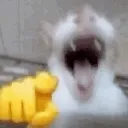 emoji_62