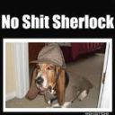 :Noshitsherlock: