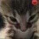 :emoji_28:
