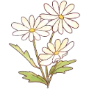 577745ffflowers