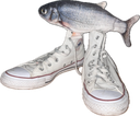 :shoefish: