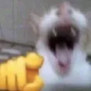 laughs_at_you