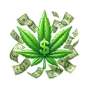 CashKush