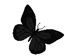 butterfly animated Discord emote | 𖤐 ᴴᴵᴾˢᵀᴱᴿ 𖤐