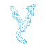 Alphabet_Y