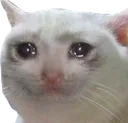 :emoji_61: