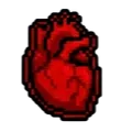 Organ