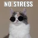 cathasnostress