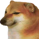 :747128284243820564: