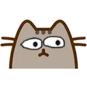 :catwhat: