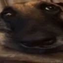 1000051828