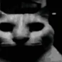 1000051826