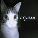1000051806
