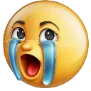 :crineesobbb:
