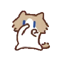 scubacat