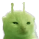 glorp