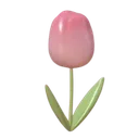 :gdnPinkFlower: