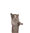 br_Fungatohappymeme