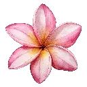 :Flower: