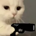 WoahPardner