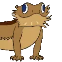 TP_image0