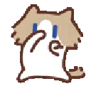 scubbacat