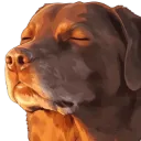 imcooked