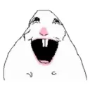537802happyhamstermeme
