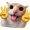617091peace