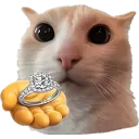 736199ring