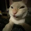 Hehe