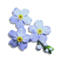 d_forgetmenot Discord emoji