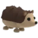 hedgehog