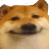 happydoge