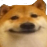 :happydoge: