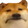 saddog