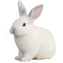 :36Romance_bunmy: