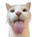 :catmel: