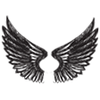 :wings: