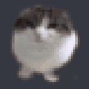 :Happy_Cat: