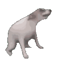 :emoji_1783077493575: