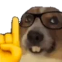 dognerd