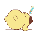 :6439purinchub: