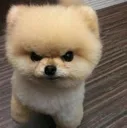angry